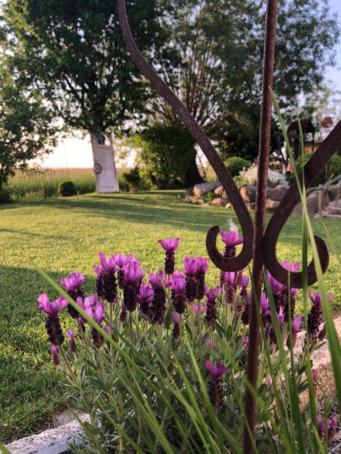 Ferienwohnung Thiergarten Mistelgau Bagian luar foto
